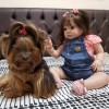 22'' Sweet Little Beautie Elliana Reborn Baby Doll Girl