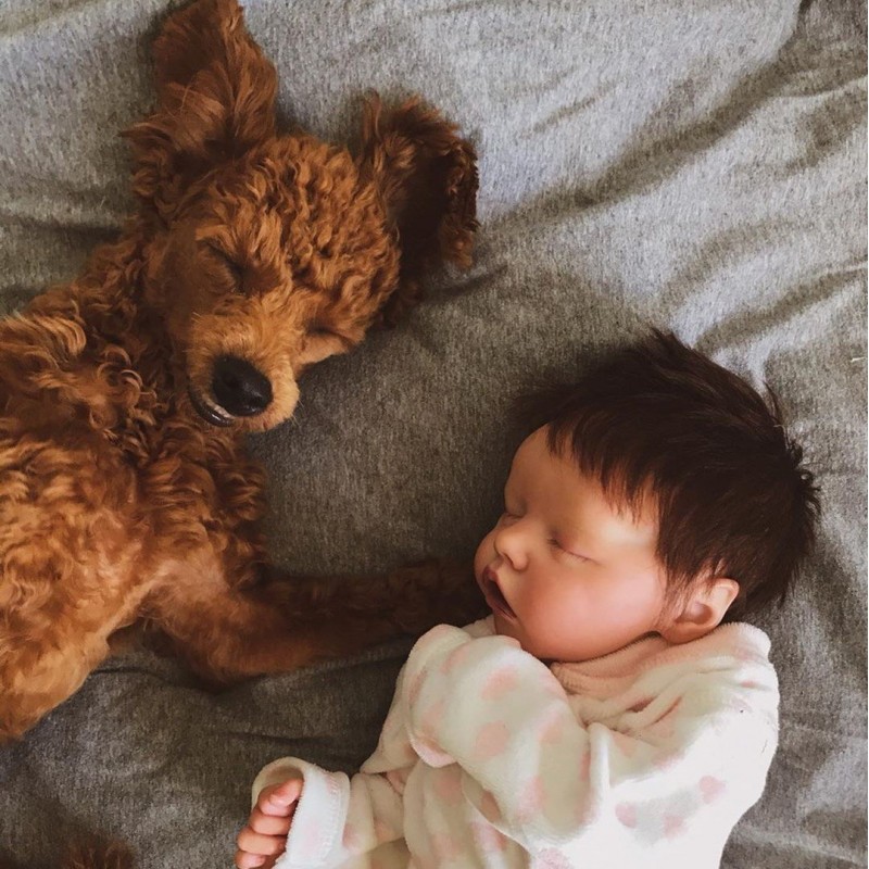 17 Inch Santos  Baby...