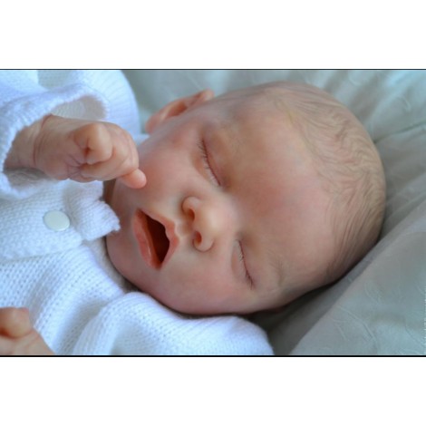 17 Inch Real Lifelike Cute Sonny  Reborn Baby Doll Boy， Handmade Baby Doll Toy For Ages 3+ (M) (A)