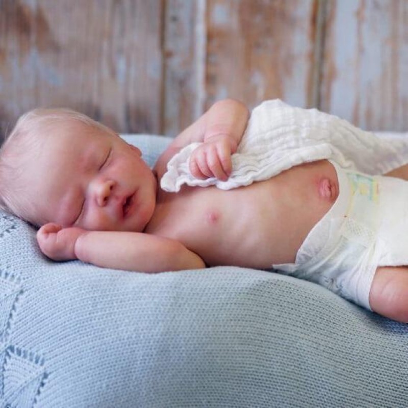 Lifelike 17.5'' Jali...